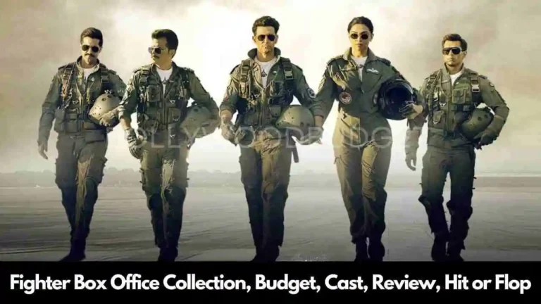 Fighter Box Office Collection Day, Budget, Review, Hit or Flop