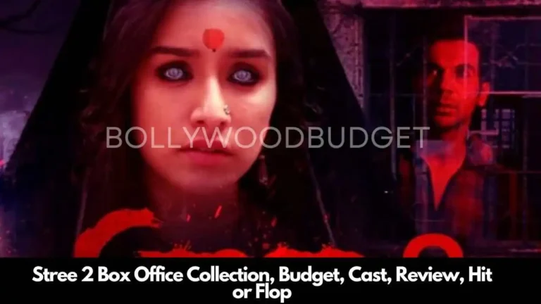 Stree 2 Box Office Collection, Release Date, Cast, Budget, Hit or Flop
