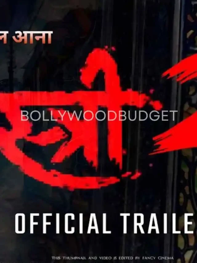 Stree 2 Release Date, Budget, Star Casting, Hit or Flop