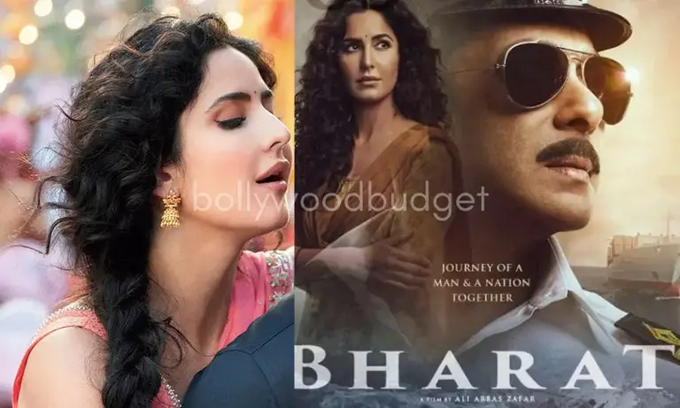 Bharat Collection Worldwide, Budget, Cast, Release Date, Story, Review, Hit or Flop