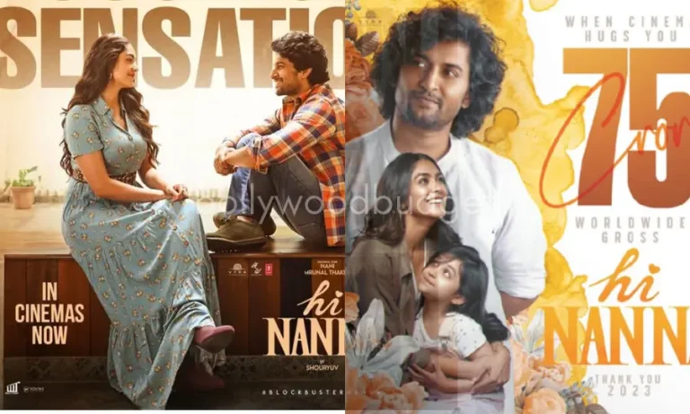 Hi Nanna Budget, Worldwide Collection, OTT Release, Hit or Flop, Cast, Review